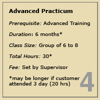 advance-practicum